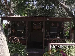 Cory Chase and Lexi Lore endure freeuse in barn