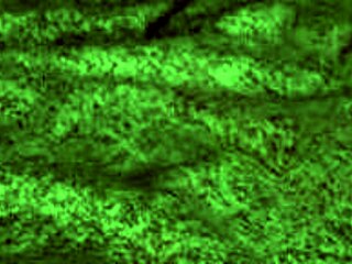 I watched that redhot fox milf orgasm hard