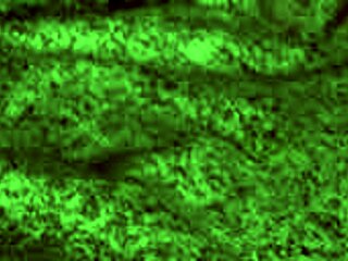 I watched that redhot fox milf orgasm hard