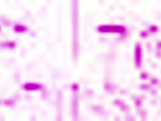 Having pool fun with Dani Daniels using Go-Pro for lesbian sex and oral.