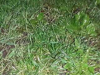 We hid in an abandoned spot for dirty talk and lesbian sex play.