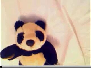 Nikkix Engages in Webcam Chat Session