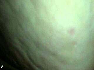 Megan Adele Rides Cock Reverse Cowgirl in Intense Homemade Session