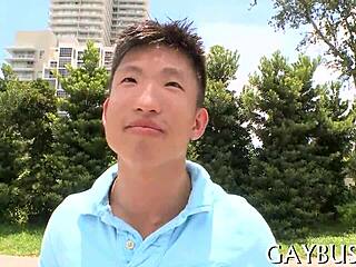 Detailed Homosexual Sex Video Scenes