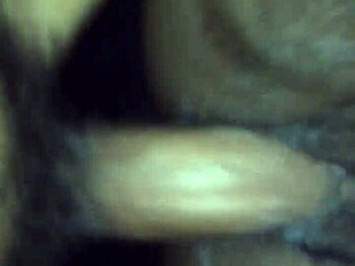 Sexy Ebony BBW Gets Taken Down by Monster Cock in Intense Fuck