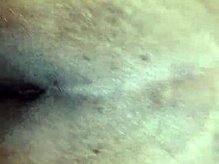 BBW anal lover enjoys intense assfucking sessions.