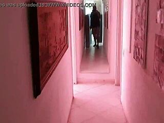 Morena debuts in porn underworld at clandestine party with Paty Bumbum, Melissa Alecxander, Alex Lima, Bruxo Fire, Clarkes Boutaine, El Toro de Oro