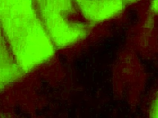 Bisexual Video from March 16, 2017