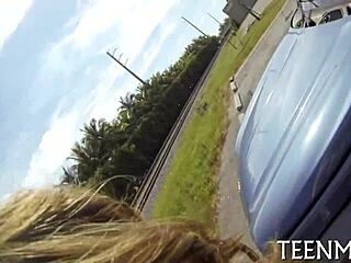 Baring Natural Tits, Brooke Wylde Gets Fucked and Sucked Hard.