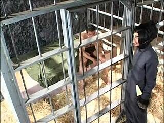 Cosplay babe rules future world with wild assfucking and sucking.