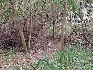 Intriguing Title Case Wild Gay Sex with Hung Studs in Forest Action