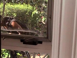 Black stud dominates white cock orally and anally