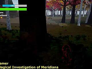 I am investigating magic in Meridiana, part one.