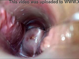 Intense Vaginal Orgasm in Wild Hentai Action.