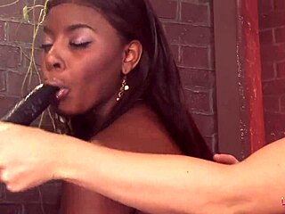 Interracial Lesbian Play Satisfies These Chicks Beyond Compare