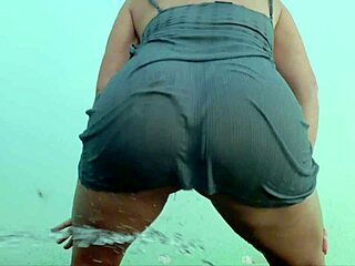 i gave my dog a nice hose bath on a hot day and she got all wet