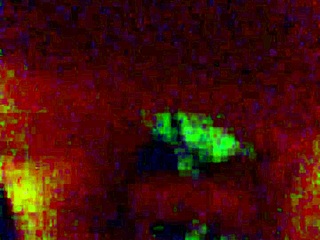 Teen begs for huge cock in her pussy