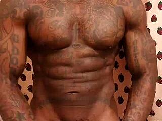 Worship this big black hairy dick, hallelujah johnson and anarchy.