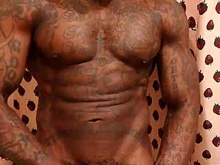 Worship this big black hairy dick, hallelujah johnson and anarchy.