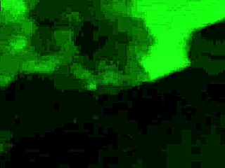 cracky fingers her bum outdoors