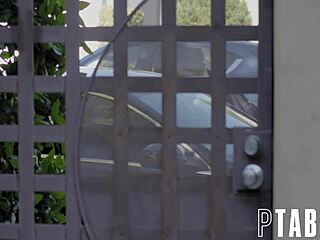 i'm charlotte sins' lapdog with chad alva