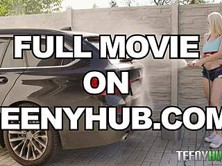 i saw a very curvy car wash with vera jarw and michael fly