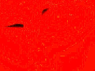 Novinha's Intense Masturbation Session