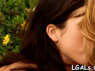 Leggy girls are licking