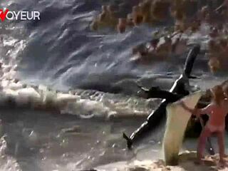 Beach voyeur hammers hot teen into sand