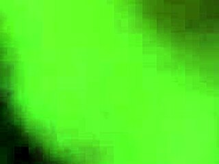 Danielle Roy Rides in Fishnet Lingerie During Couple's Intimate Moment