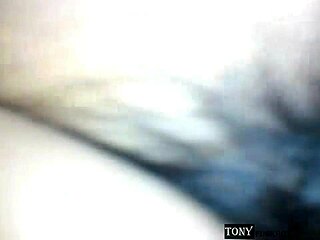 i recuérdeme why i'm gonna fuck you in the ass until you forget