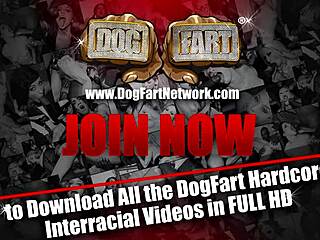 Natalia Starr dives into wild interracial sex with big black cock