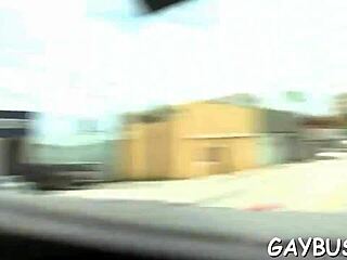 Two gay lads sucking cocks hard