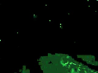 Vintage erotic drawings collection