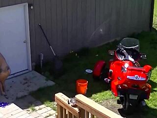 Inked Brunette Its Cleo Masturbates Outdoors for Neighbor