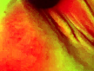 Amateur uses vibrator for intense solo orgasm