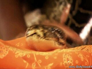 Brunette Beauty Strips in Exotic Bollywood Scene