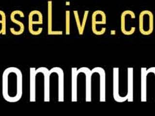 Charlee Chase and Amber Lynn Bach lick nipples