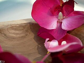 i watchd sharon white get her pussey fucked deep on massge, oh man