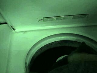 my milf stepmom quinn waters says, 'suck my huge cock for chores'