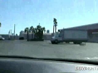 Bbw Hunting Succeeded With Huge Tits