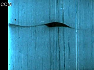 Vintage Erotic Drawings