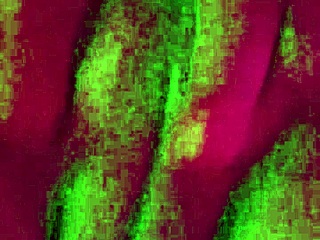 pretty cougar bent over for tight doggystyle vagina pounding homemade.