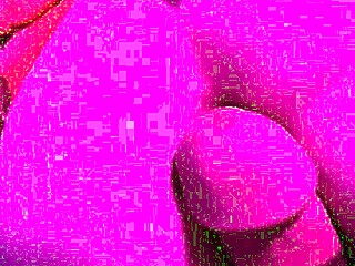 pretty cougar bent over for tight doggystyle vagina pounding homemade.