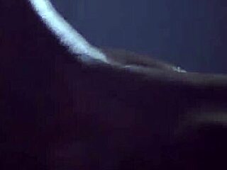 Riley Reid Dpd by Bulls