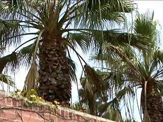 Naked Secretary Fucked At Work By Police Officer!