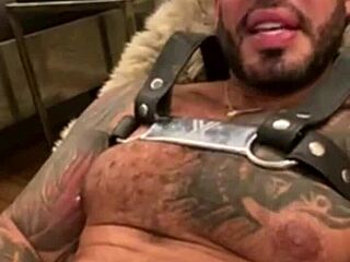 What secrets does Viktor Rom hide after 3650 days in gay industry?