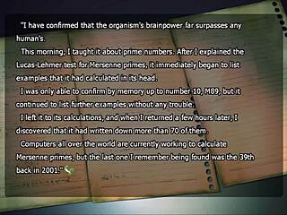 Let's Play Song Of Saya Part 11