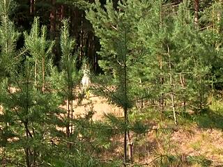 Nicole Greets Nature With Open Arms And Naked