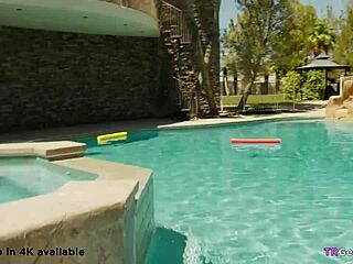 i can’t even name all 3 trannies at this wild party